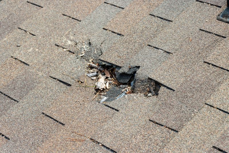 Asphalt Roof Replacement in Pocomoke City, MD