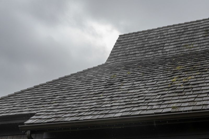 Cedar Roof Replacement in Pocomoke City, MD