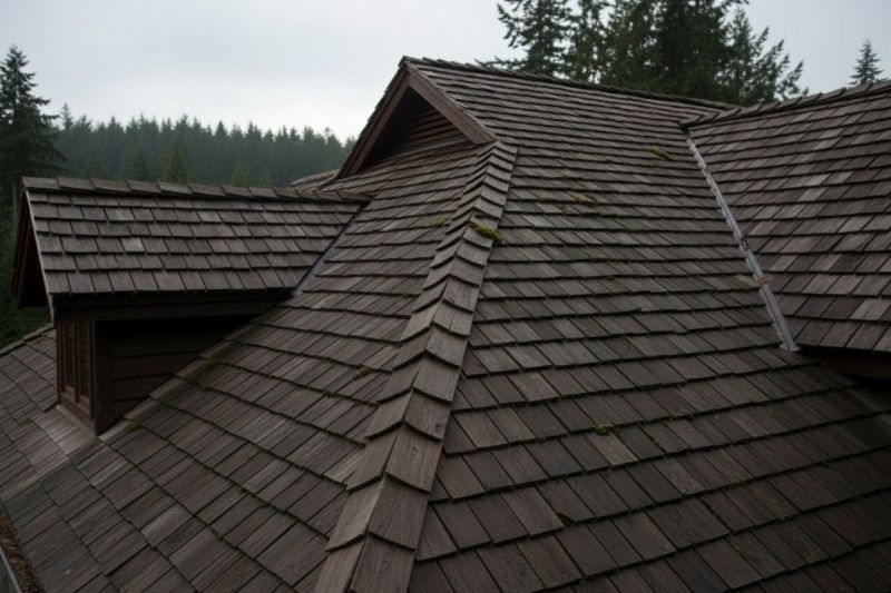 Cedar Shake Roof Replacement in Accomack County, VA