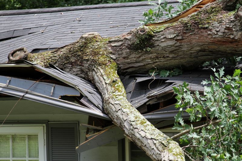 Collapsing Roof Repair in Accomack County, VA