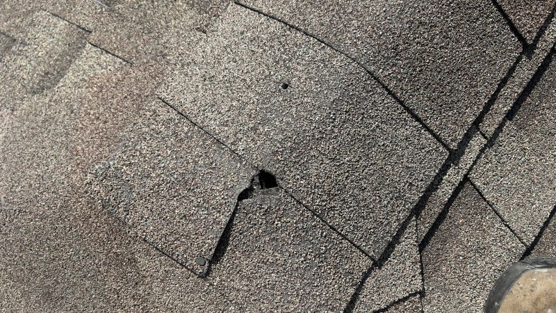 Damaged Roof Repair in Accomack County, VA