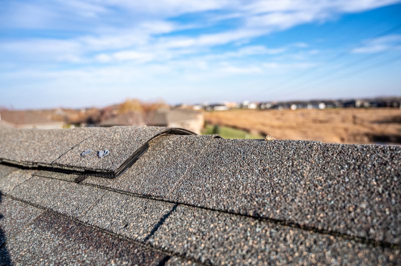 Damaged Roof Repair in Pocomoke City, MD