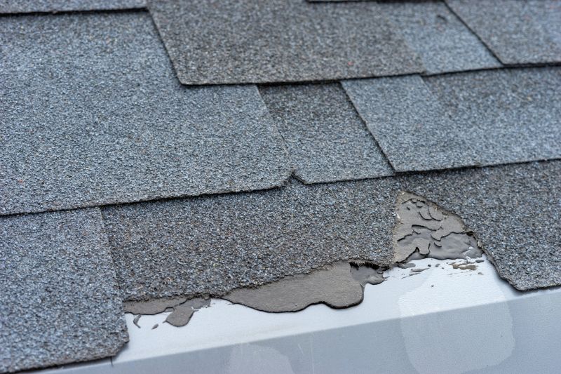 Damaged Roof Repair in Pocomoke City, MD