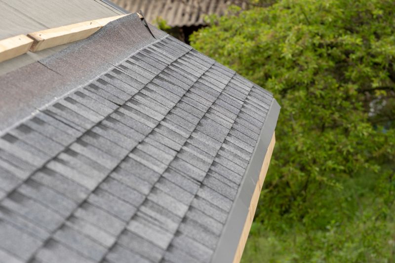 Damaged Roof Repair in Pocomoke City, MD