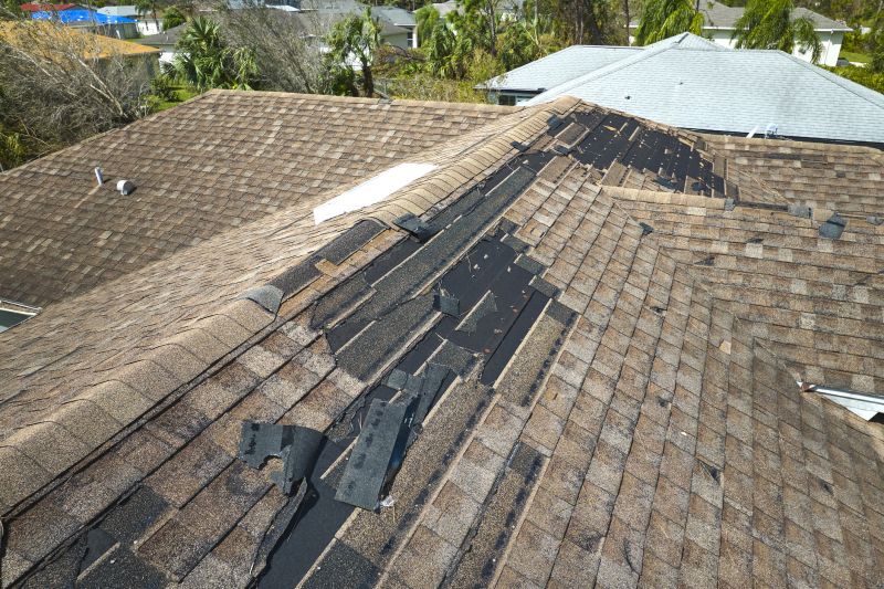 Dormer Roof Repair in Accomack County, VA