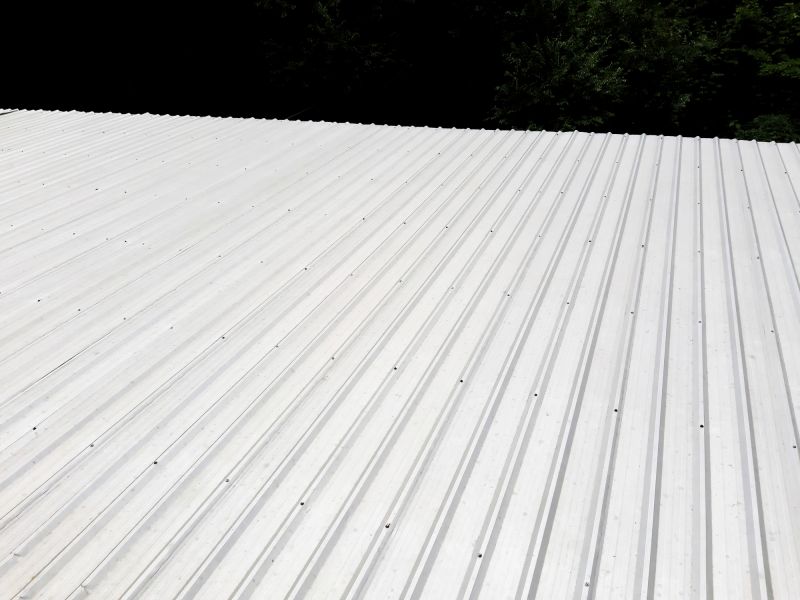 Galvanized Roof Repair in Accomack County, VA