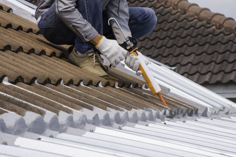 Metal Roof Coating Service in Accomack County, VA