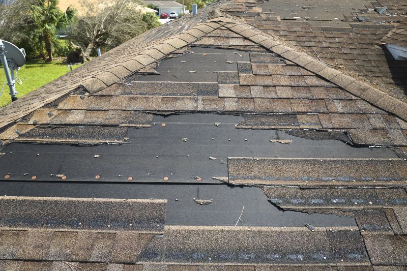 Roof Hail Damage Repair in Accomack County, VA
