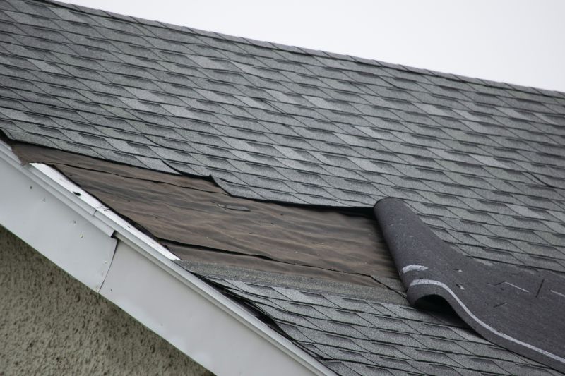 Roof Ridge Repair in Accomack County, VA