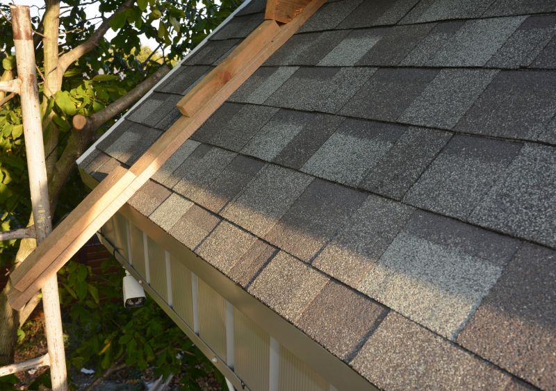 Roof Vent Flashing Repair in Accomack County, VA