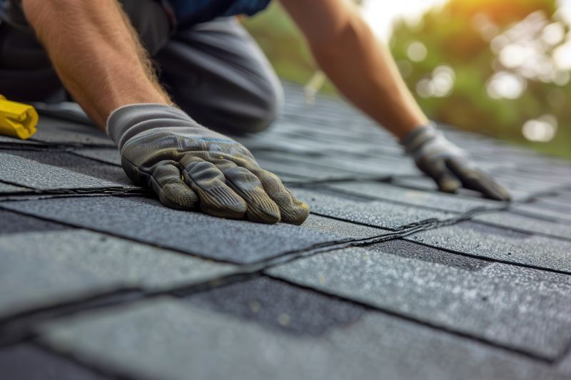 Shingles Repair in Pocomoke City, MD