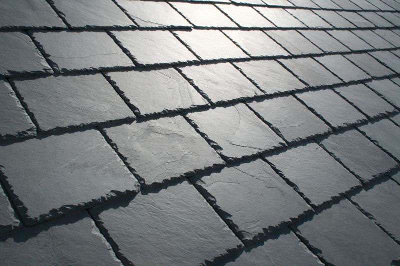 Slate Roof Maintenance in Accomack County, VA