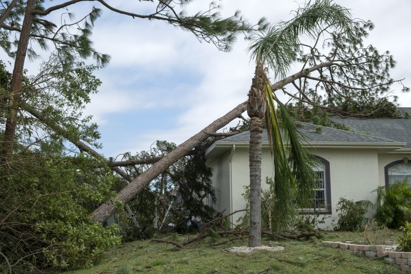 Storm Damage Roof Repair in Pocomoke City, MD