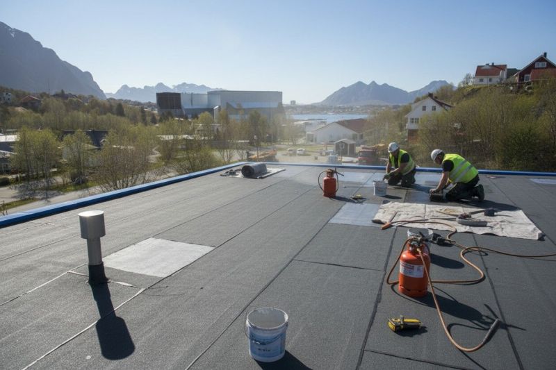 Tpo Roof Replacement in Accomack County, VA